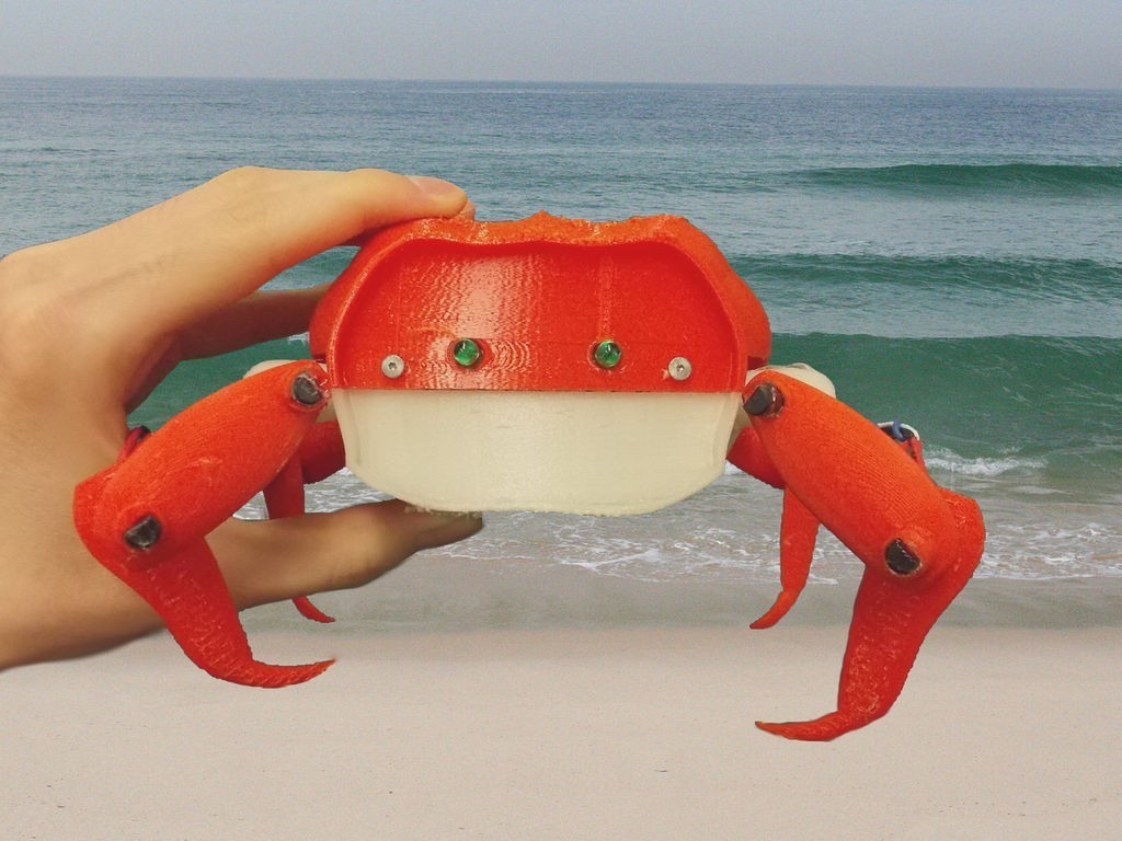crab-main